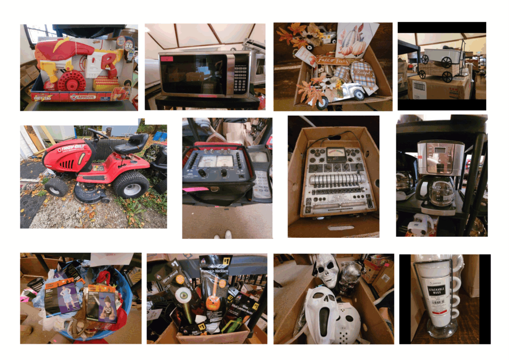 TONS of Seasonal Home Decor, Halloween Costumes and Decor, Crafting Items, Kids Toys and Games, Electronics, Troy-Bilt Mowers, Power Tools and More