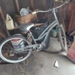 Trex Classic Bicycle